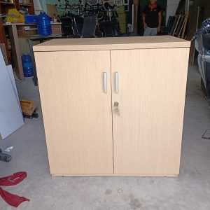 Tủ hồ sơ cũ 2 cánh vân gỗ giá rẻ