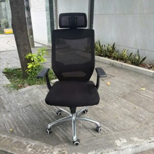 Ghế Công Thái Học Dergo T21