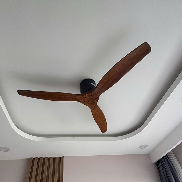 z7343023579254_08429df92dea2baa9b8002130746186b